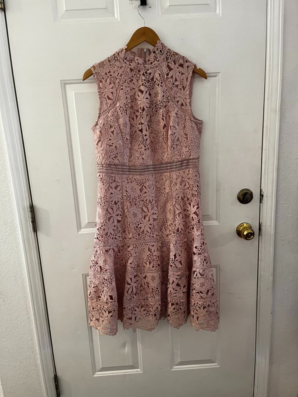 Bardot Woman Blush/Pink Elise Lace Embroidered Event/Cocktail Dress Sz Lr |ong